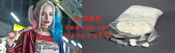 стафф Волоколамск