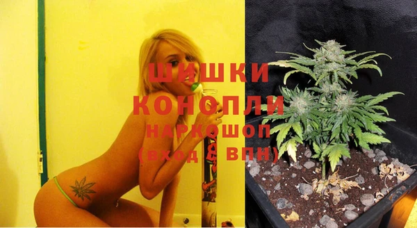 стафф Волоколамск