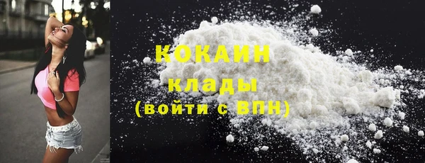 твердый Володарск