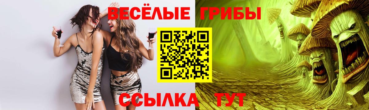 Галлюциногенные грибы Psilocybine cubensis Дубна