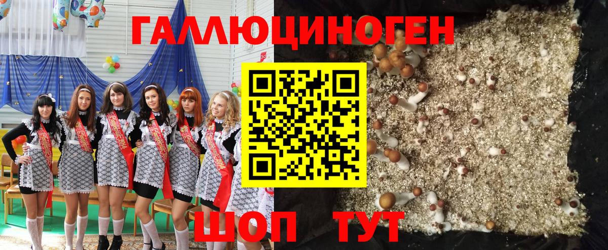 Галлюциногенные грибы ЛСД Дубна